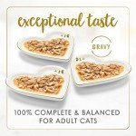 Fancy Feast Gravy Lovers Gourmet Cat Food Variety Pack