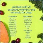 11-in-1 Dog Multivitamin & Supplements Powder