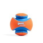 Chuckit! Kick Fetch Ball for Large Dogs