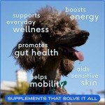 11-in-1 Dog Multivitamin & Supplements Powder