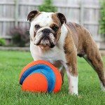 Chuckit! Kick Fetch Ball for Large Dogs
