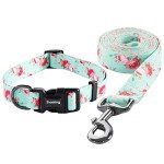 Floral Dog Collar and Leash Set for Training
