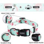 Floral Dog Collar and Leash Set for Training