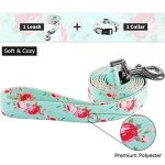 Floral Dog Collar and Leash Set for Training