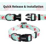 Floral Dog Collar and Leash Set for Training