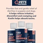 Vets Preferred Dog Diarrhea Relief Liquid - 8 oz