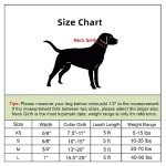 Rose Pattern Dog Collar and Leash Set for Small Dogs