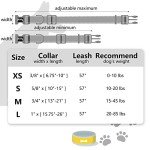 Floral Dog Collar and Leash Set for Training