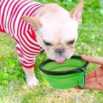 Portable Collapsible Dog Bowls, 2-Pack Set