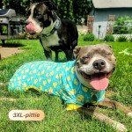 Yellow Duck Dog Pajamas – Soft Onesie Outfit