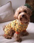 Funny Duck Dog Pajamas for Small Dogs