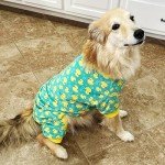 Yellow Duck Dog Pajamas – Soft Onesie Outfit