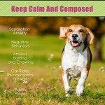 Heartbeat Toy for Dogs - Anxiety Relief Aid