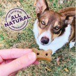Wellness Classic Grain-Free P-Nuttier 'N Nanners Dog Treats