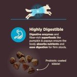 Wellness CORE Digestive Health Dry Dog Food
