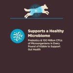 Wellness CORE Digestive Health Dry Dog Food