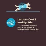 Wellness CORE Digestive Health Dry Dog Food