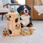 Outward Hound XL Hide A Squirrel Dog Toy