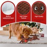 Christmas Squeaky Dog Tug Toy for Small Pets