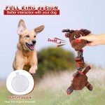 Christmas Squeaky Dog Tug Toy for Small Pets