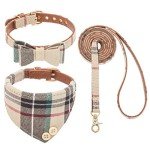 ExpaWlorer Plaid Dog Collar and Leash Set