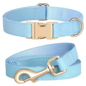 Blue Leather Dog Collar and Leash Set