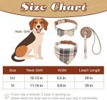 ExpaWlorer Plaid Dog Collar and Leash Set