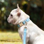 Blue Leather Dog Collar and Leash Set