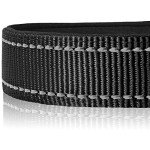 Joytale Reflective Adjustable Soft Dog Collar