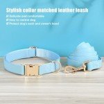 Blue Leather Dog Collar and Leash Set