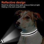 Joytale Reflective Adjustable Soft Dog Collar