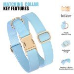 Blue Leather Dog Collar and Leash Set