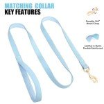 Blue Leather Dog Collar and Leash Set
