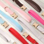 Blue Leather Dog Collar and Leash Set