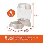 Petmate Pet Cafe Feeder for Dogs and Cats