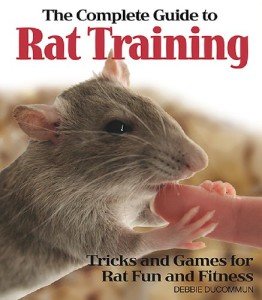 Ultimate Rat Training Guide: Tricks & Games for Fun