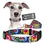 Vivid Floral Dog Collar and Leash Set