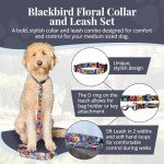 Vivid Floral Dog Collar and Leash Set