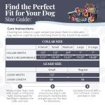 Vivid Floral Dog Collar and Leash Set