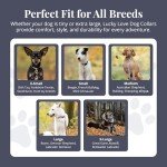 Vivid Floral Dog Collar and Leash Set