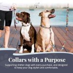 Vivid Floral Dog Collar and Leash Set