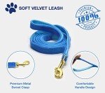 GAMUDA Soft Velvet Dog Collar and Leash Set