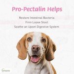 Vetoquinol Pro-Pectalin Paste for Dogs & Cats