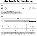 Reflective Violet Dog Collar and Leash Set