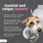 Vetoquinol Pro-Pectalin Paste for Dogs & Cats