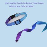 Reflective Violet Dog Collar and Leash Set