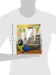 ZuPreem FruitBlend Pellets for Large Birds