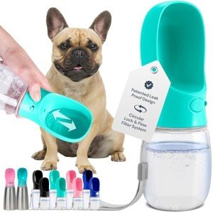 Portable Dog Water Bottle with Bowl - 12 oz