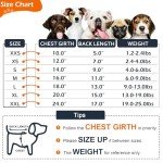 Cozy 3-Pack Sweaters for Small Dogs