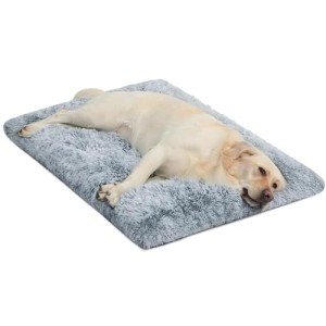WAYIMPRESS Large Washable Dog Bed Pad, Grey